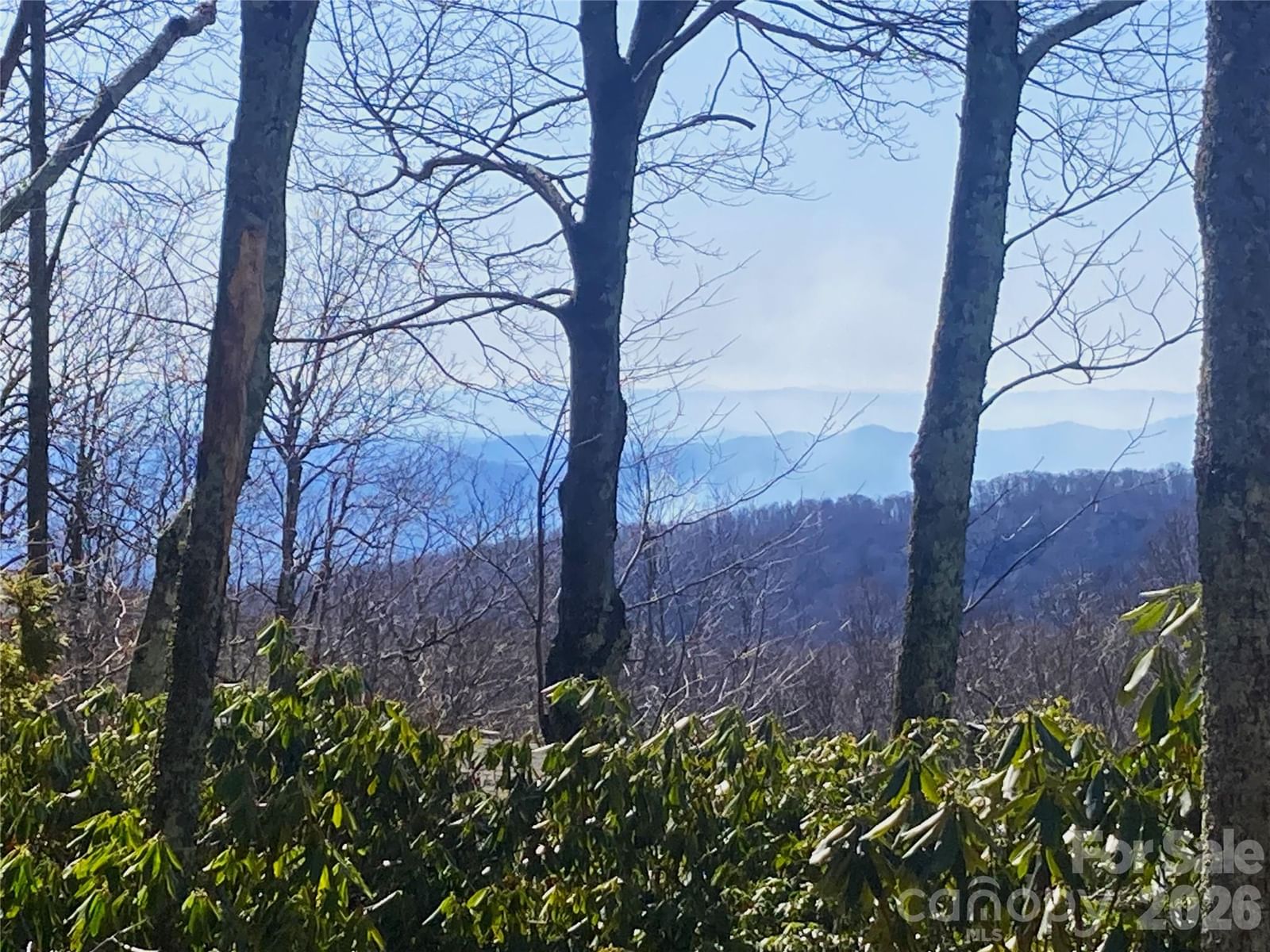 201 Jans Mountain Road, Blowing Rock, NC 28605 - Photo 4