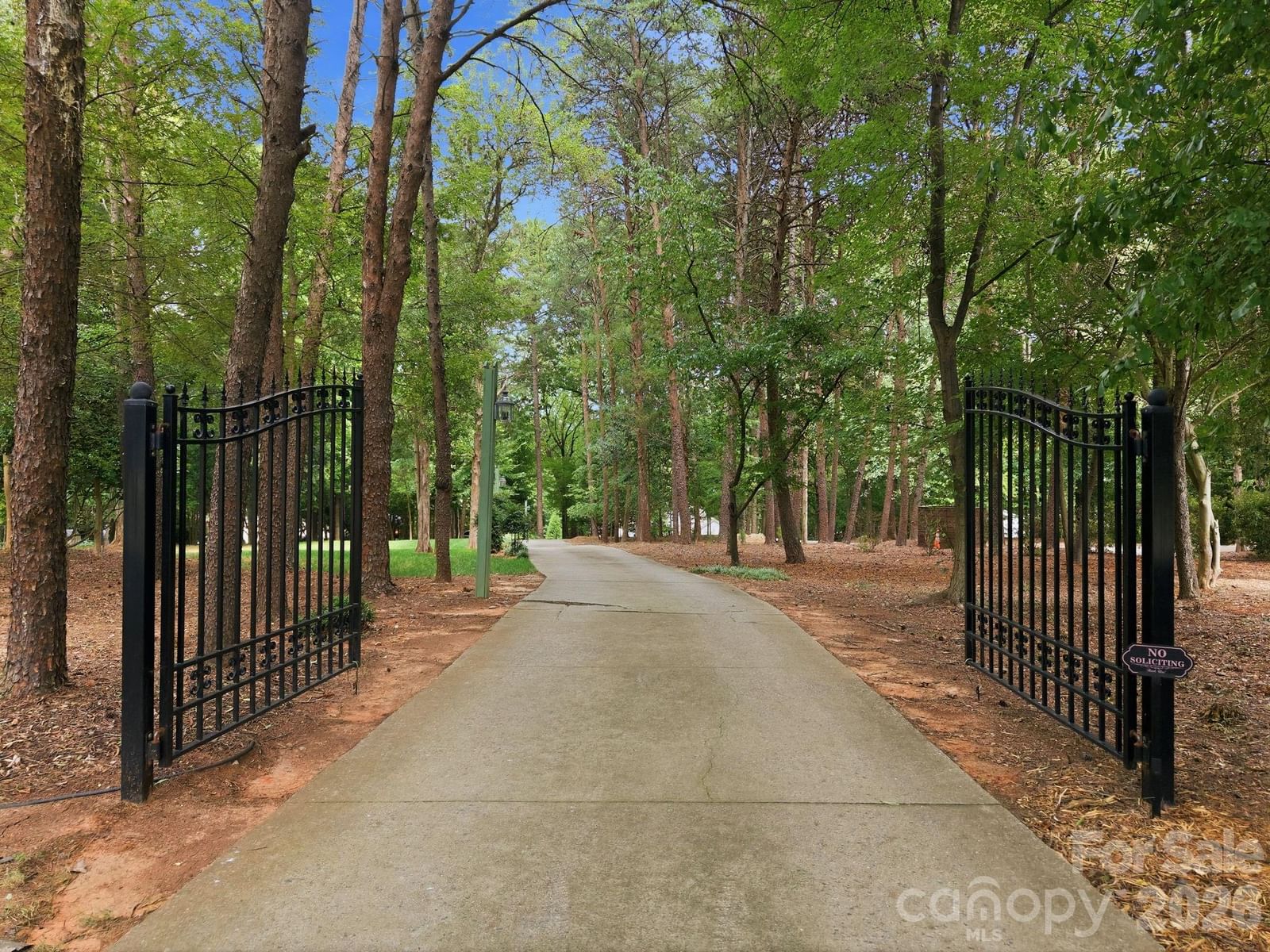 20334 Bethelwood Lane, Cornelius, NC 28031 - Photo 3