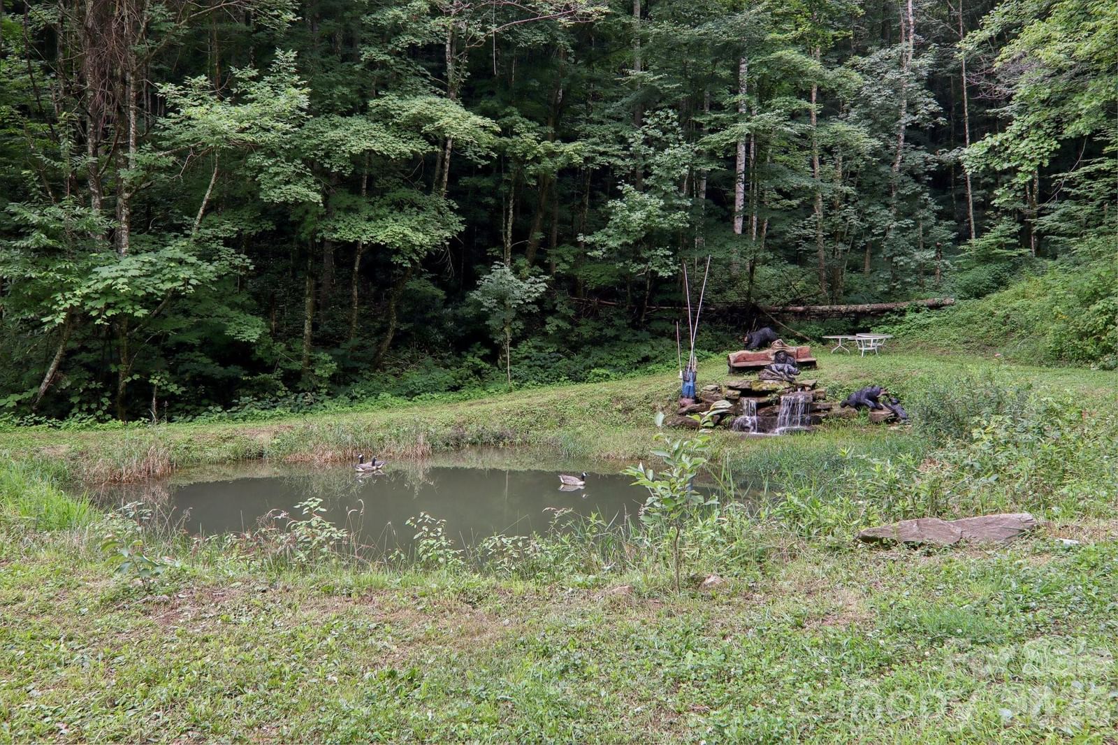 4501 Cove Creek Road, Waynesville, NC 28785 - Photo 5