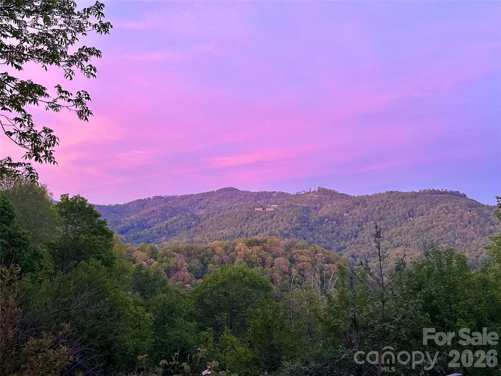 1185 Black Bear Drive, Mars Hill, NC 28754 - Photo 4