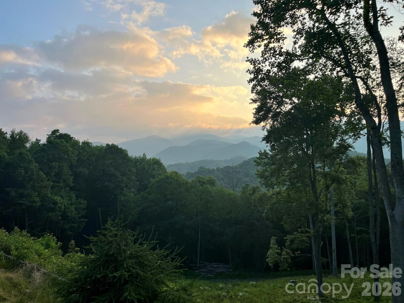 1185 Black Bear Drive, Mars Hill, NC 28754 - Photo 5