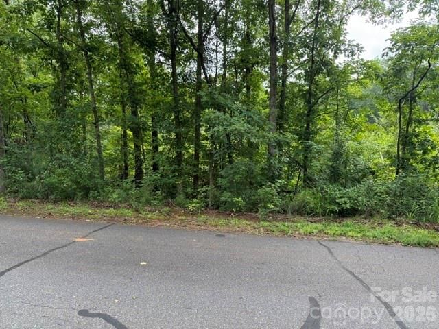 00 Chisholm Trail, Rutherfordton, NC 28139 - Photo 5