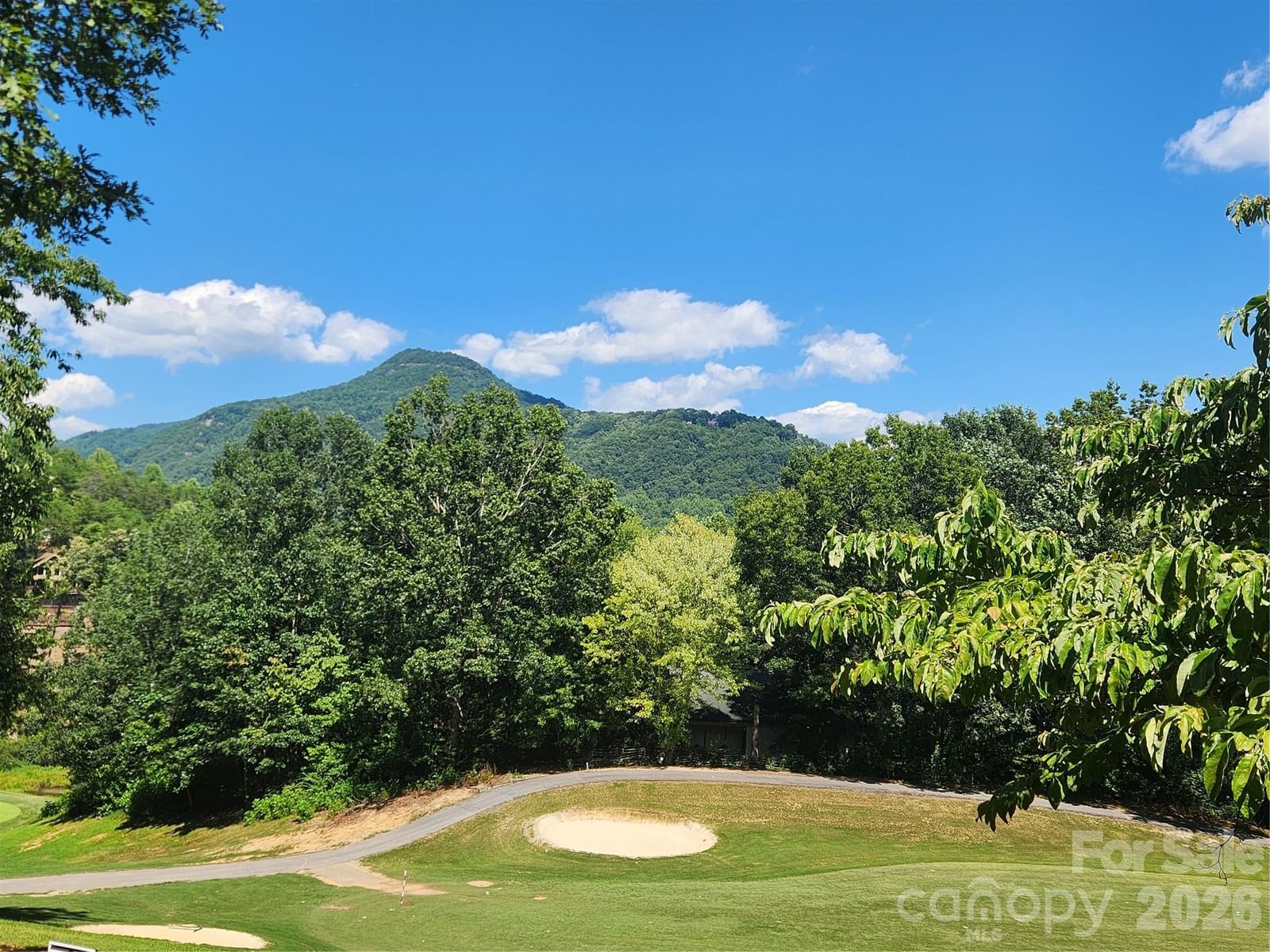 124 Huntington Road, Lake Lure, NC 28746 - Photo 4