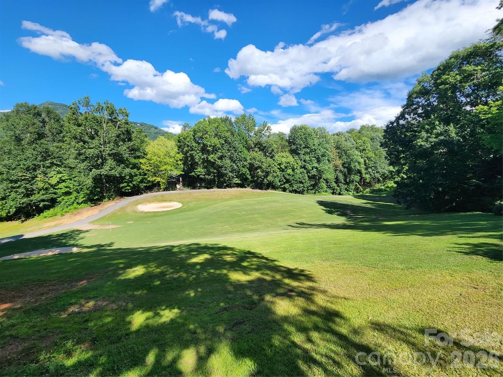 124 Huntington Road, Lake Lure, NC 28746 - Photo 5