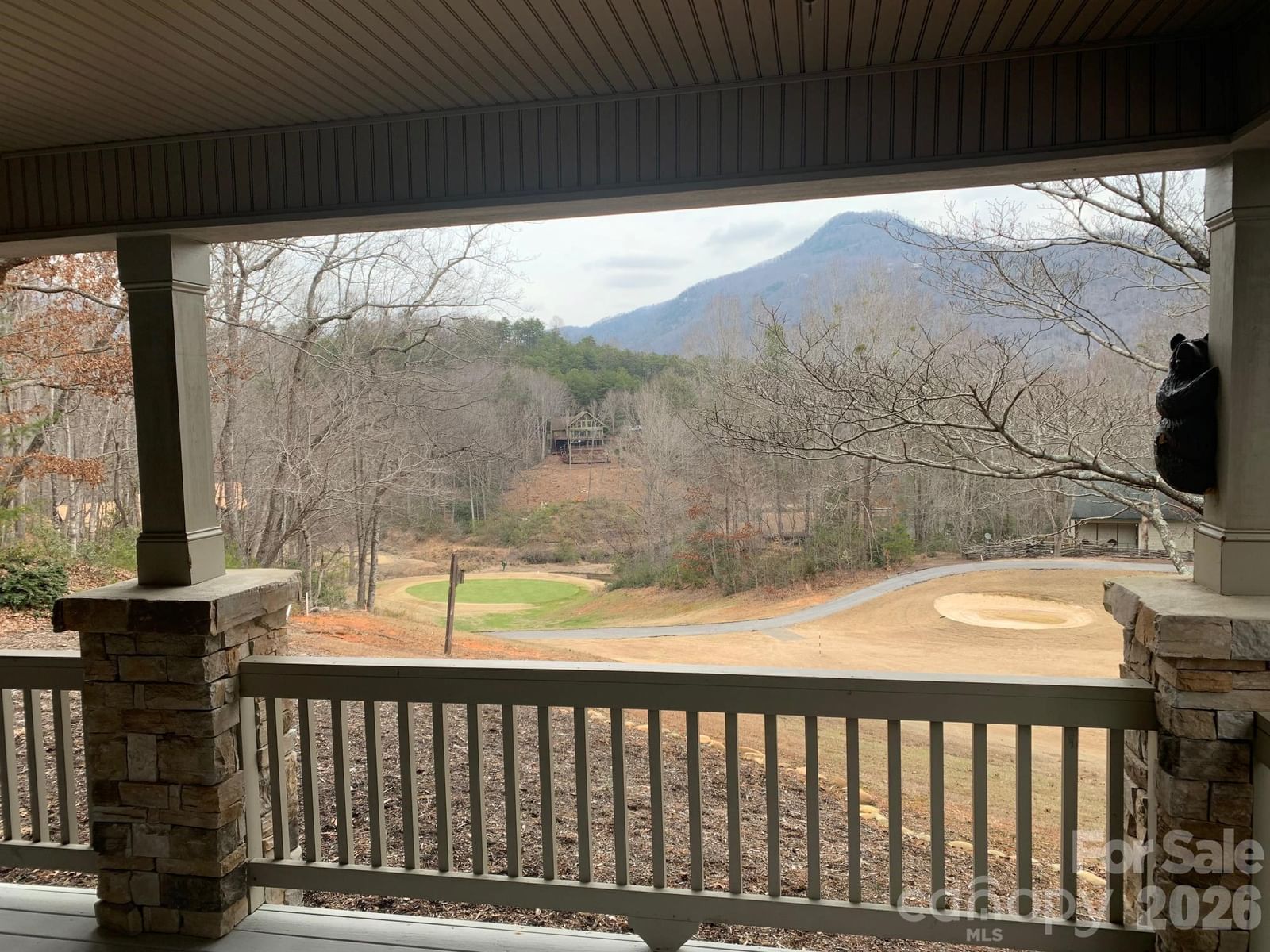 124 Huntington Road, Lake Lure, NC 28746 - Photo 3