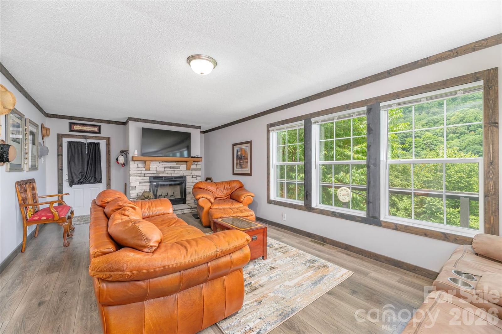 92 Bobcat Road, Maggie Valley, NC 28751 - Photo 5
