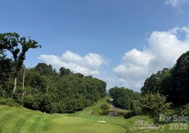 Lot 91 Apple Brandy Way, Burnsville, NC 28714 - Photo 5