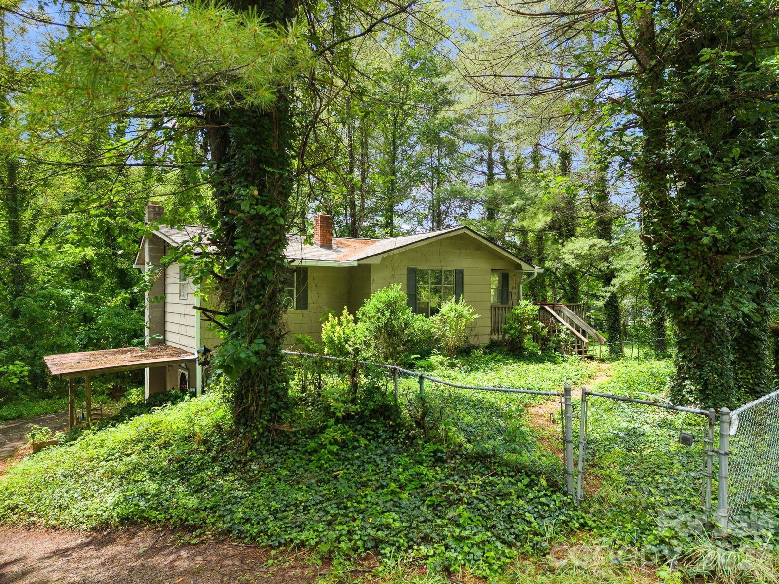 649 Monte Vista Road, Candler, NC 28715 - Photo 4