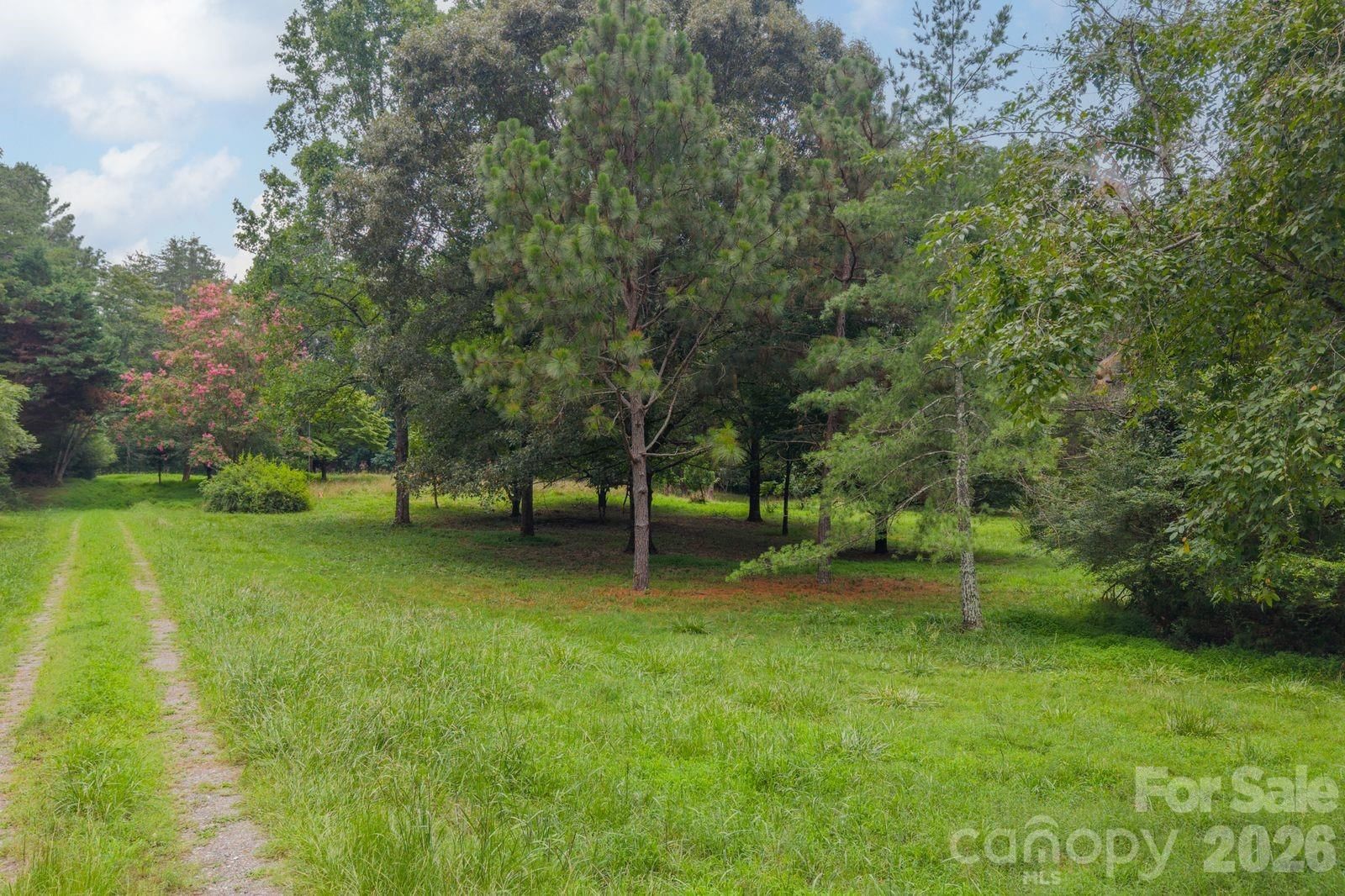2232 Grey Road, Davidson, NC 28036 - Photo 2