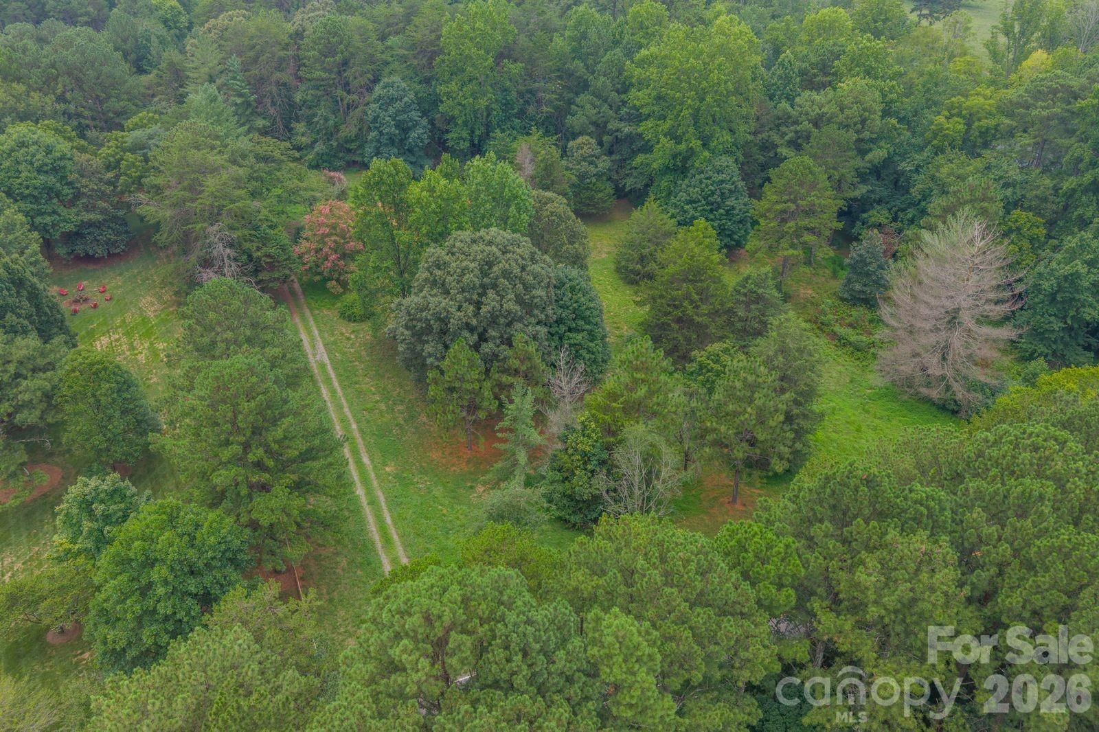 2232 Grey Road, Davidson, NC 28036 - Photo 3