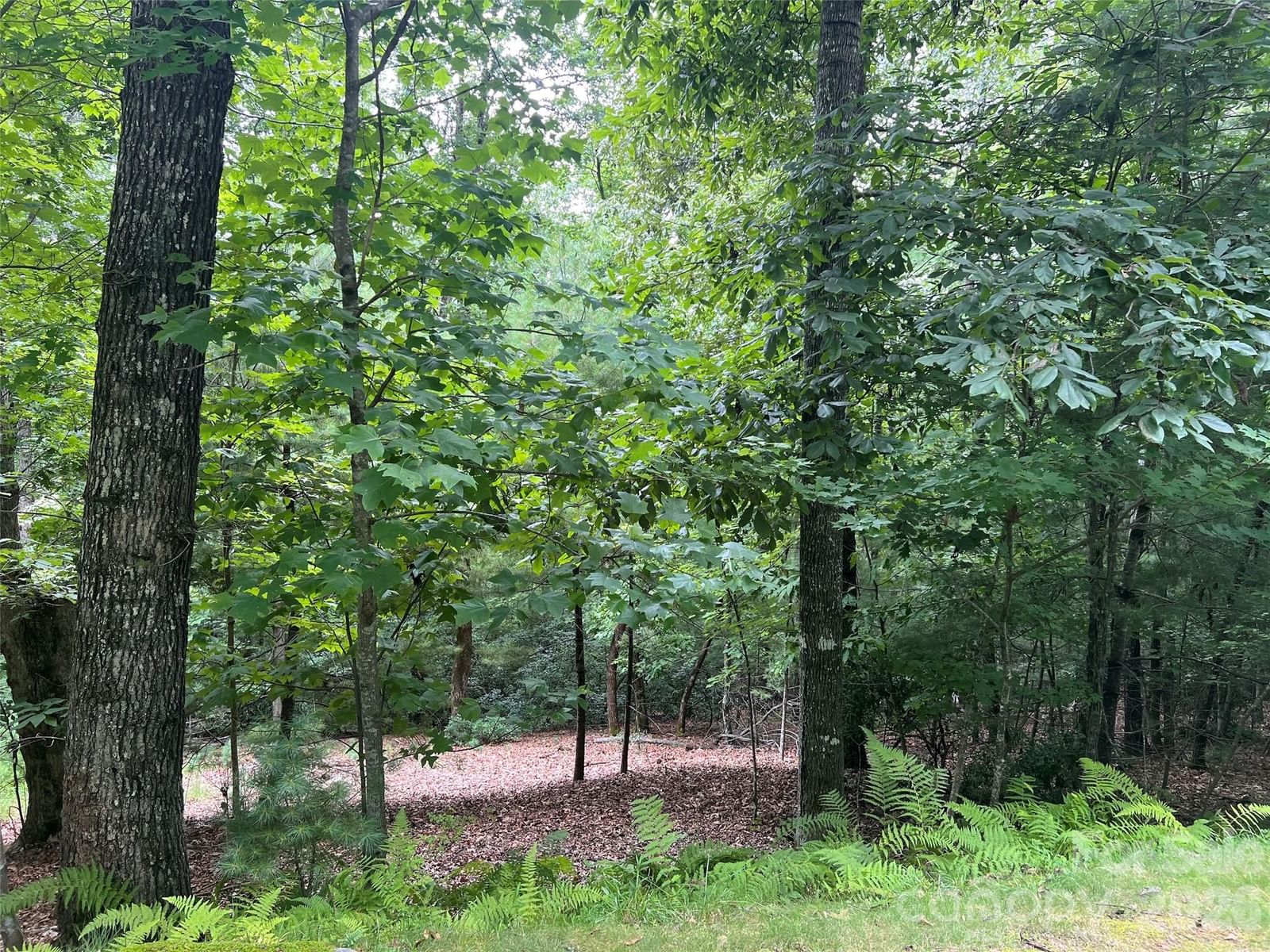 211 Tom Fazio Trace #342, Hendersonville, NC 28739 - Photo 2