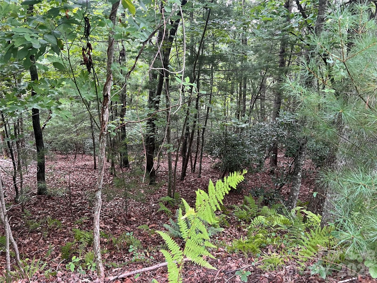 211 Tom Fazio Trace #342, Hendersonville, NC 28739 - Photo 3