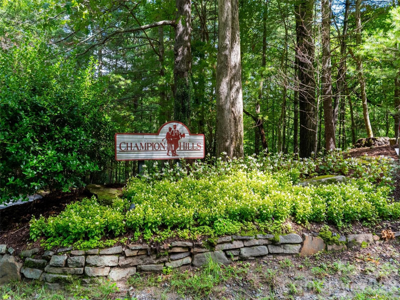 211 Tom Fazio Trace #342, Hendersonville, NC 28739 - Photo 5