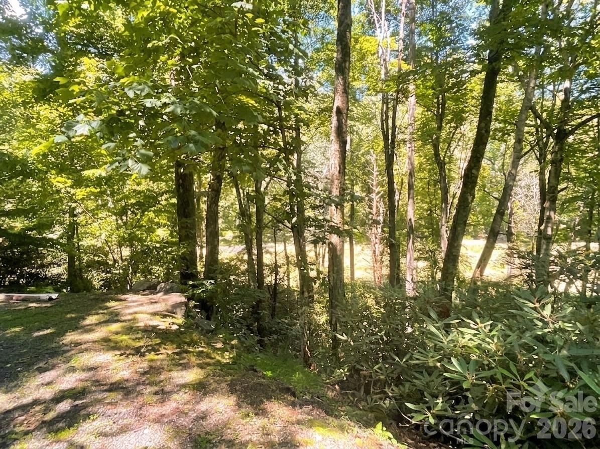 903 Winter Star Loop, Burnsville, NC 28714 - Photo 2
