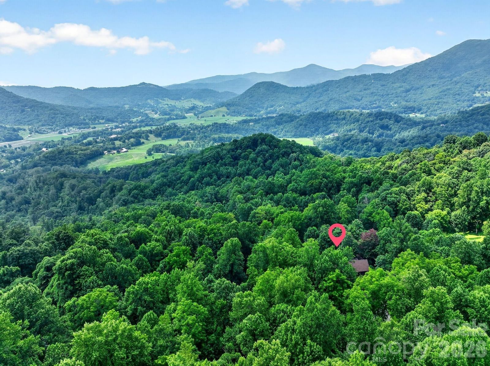 142 Marquis Lane, Waynesville, NC 28785 - Photo 4