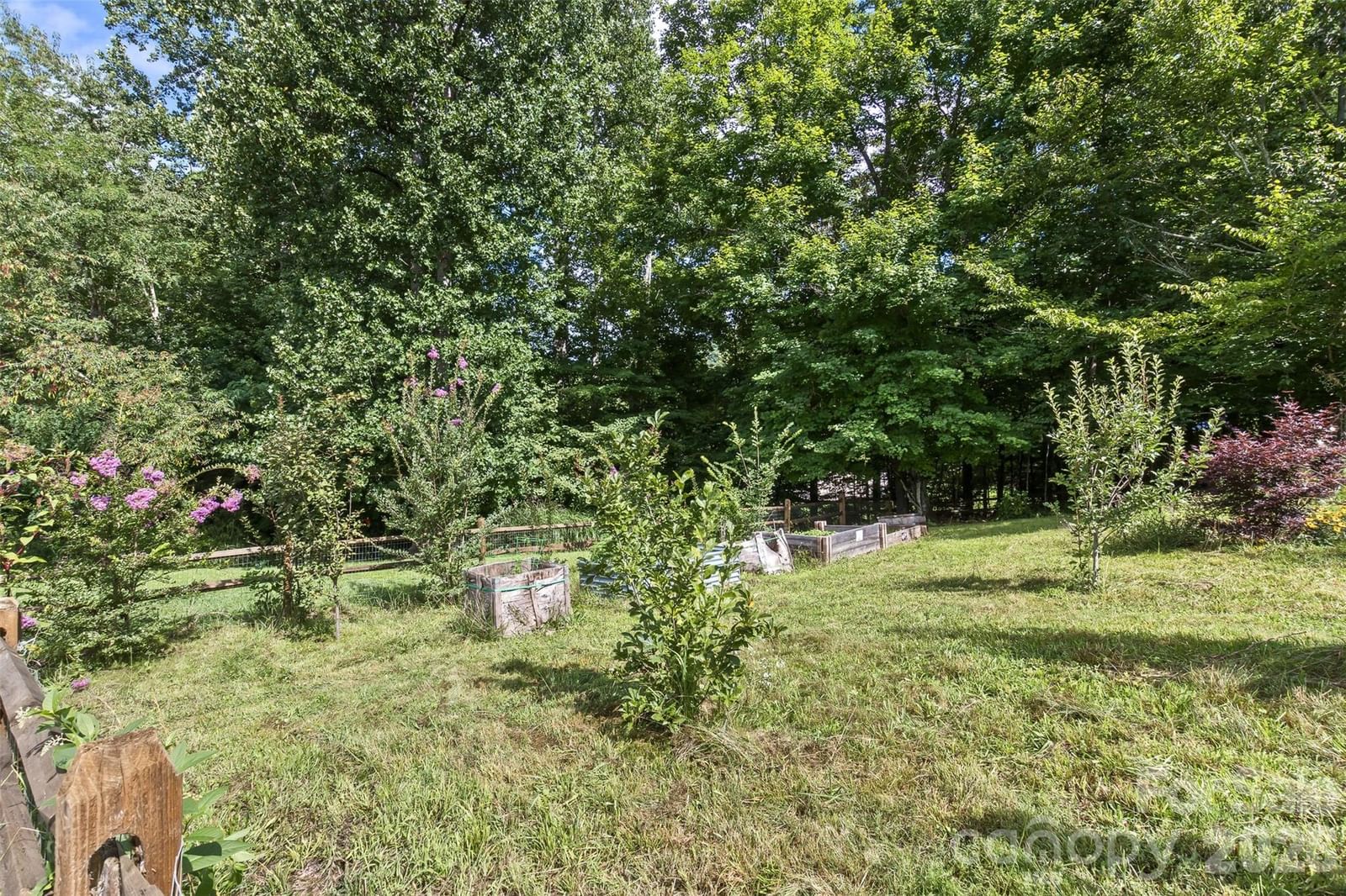 25 Asa Court, Black Mountain, NC 28711 - Photo 3