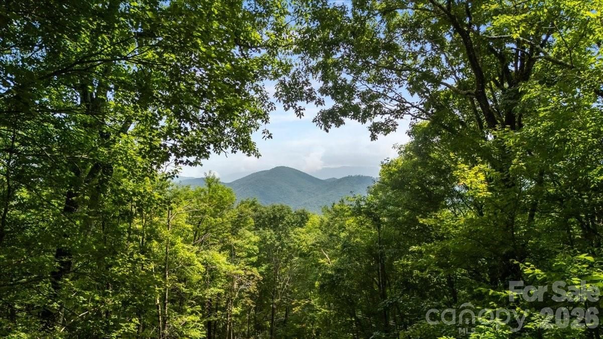 67 Birch Springs Lane #218, Mars Hill, NC 28754 - Photo 3