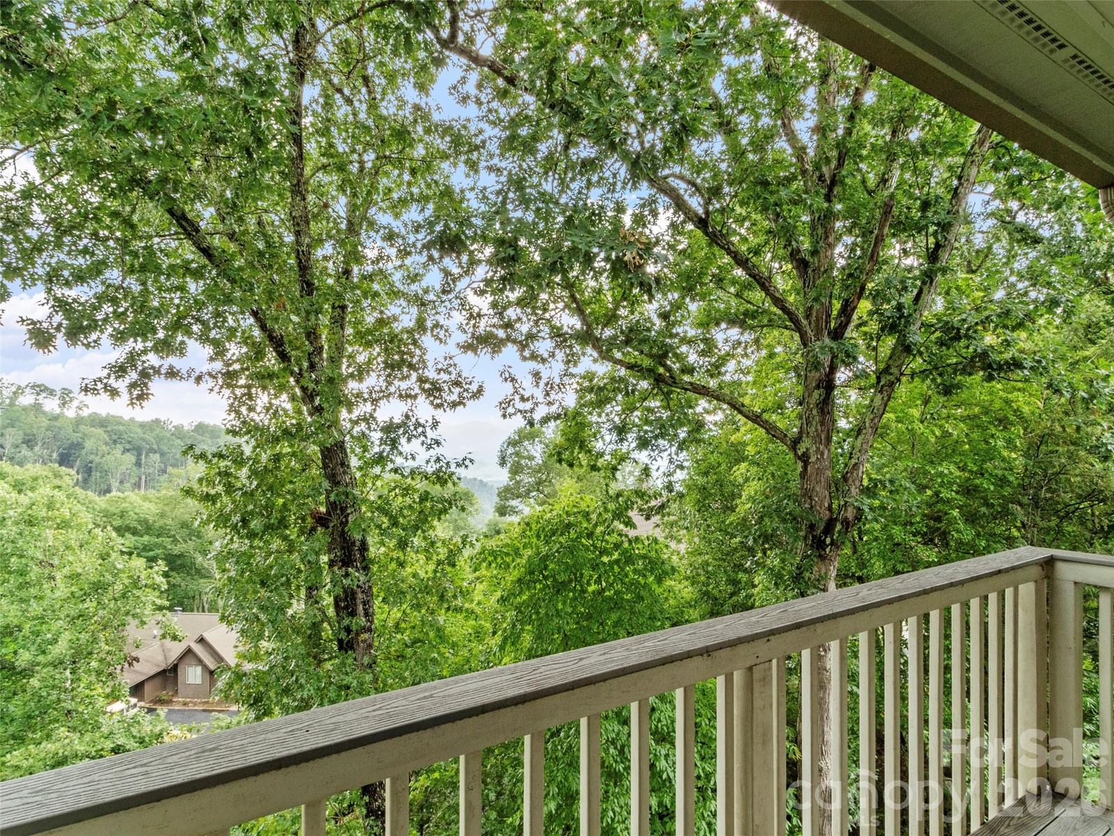 10 Stoney Falls Loop #304, Burnsville, NC 28714 - Photo 3