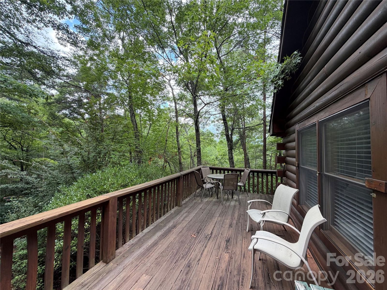194 Long Ridge Drive, Lake Lure, NC 28746 - Photo 3