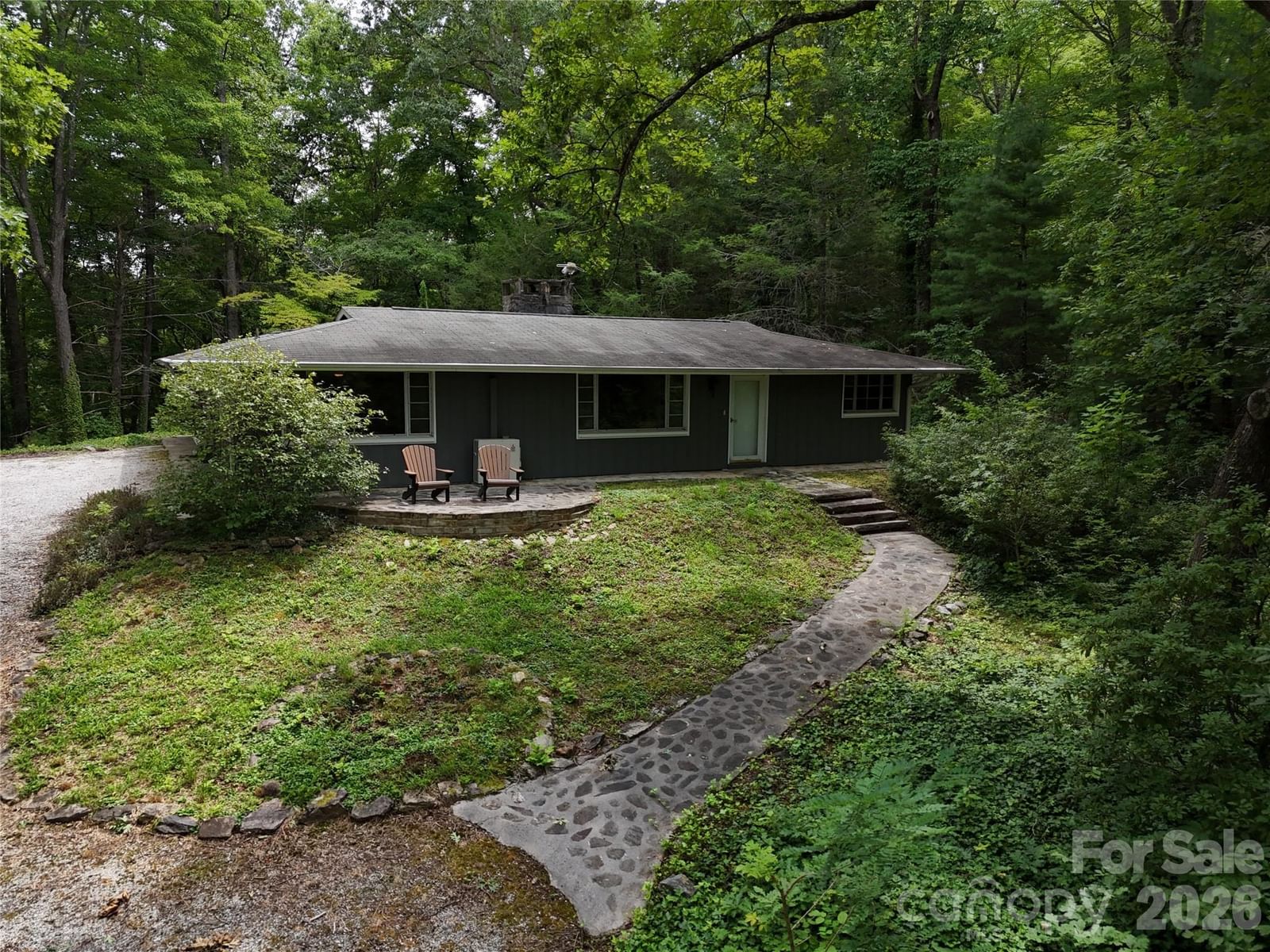 250 Luther Burbank Drive, Lake Lure, NC 28746 - Photo 3