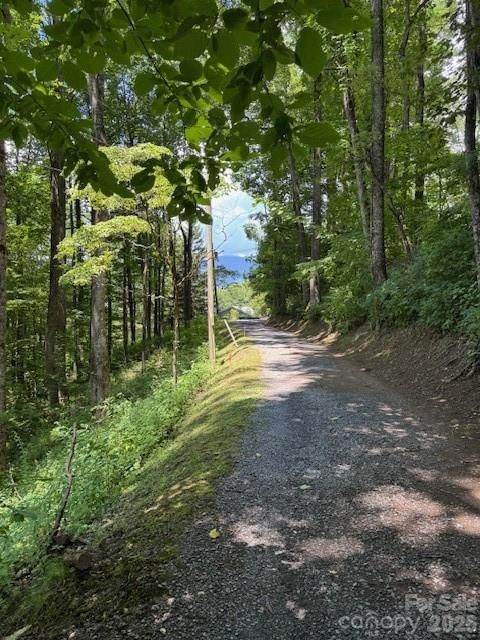 Lot 49 Rocky Ridge Road #49, Balsam, NC 28707