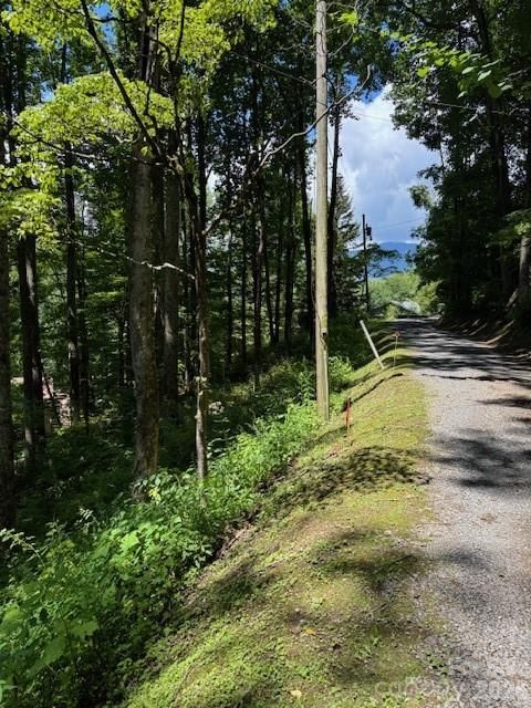 Lot 49 Rocky Ridge Road #49, Balsam, NC 28707 - Photo 2