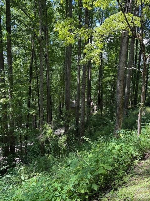 Lot 49 Rocky Ridge Road #49, Balsam, NC 28707 - Photo 3