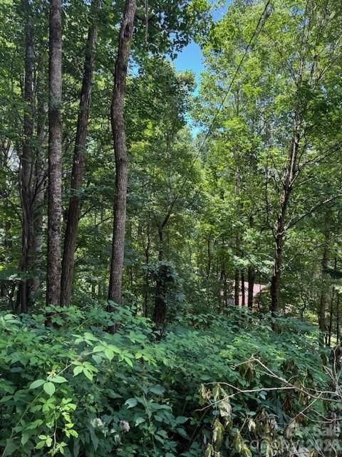 Lot 49 Rocky Ridge Road #49, Balsam, NC 28707 - Photo 4