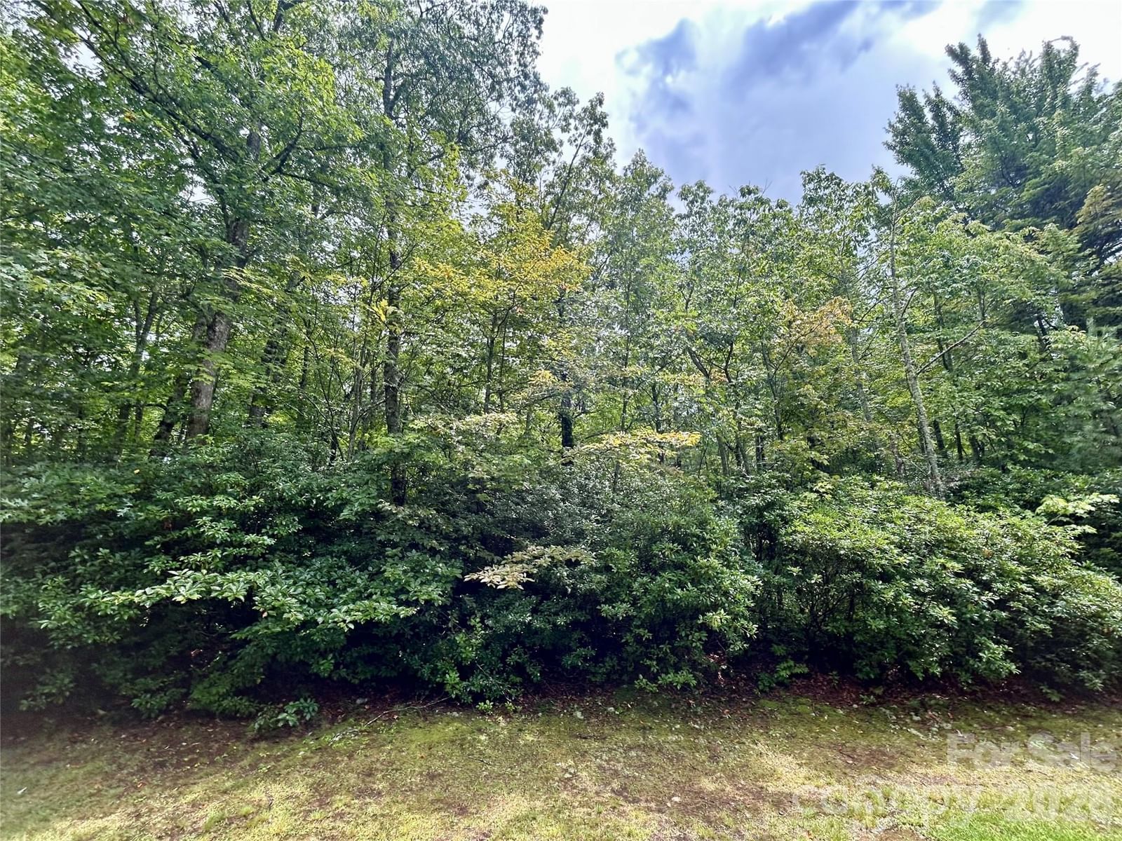 Lot 40 Hawk Mountain Road, Lake Toxaway, NC 28747 - Photo 4