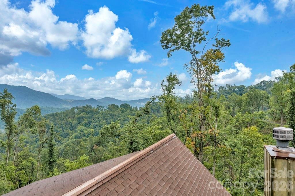 1894 left fork run Road, Bakersville, NC 28705 - Photo 5