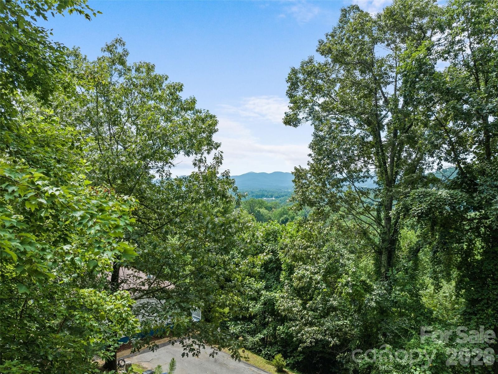180 Hidden Meadow Drive, Candler, NC 28715 - Photo 4