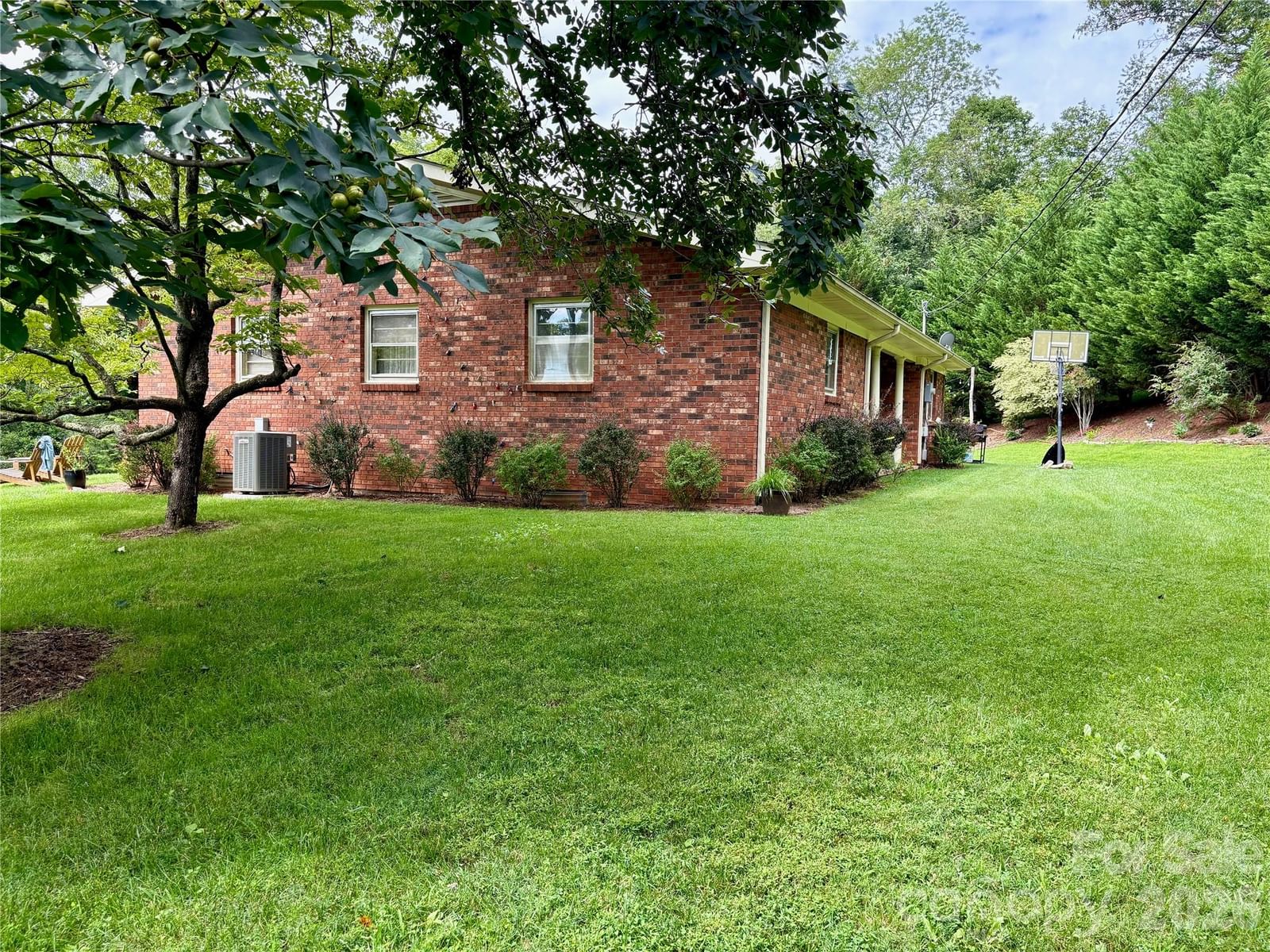 11 Thornberry Drive, Alexander, NC 28701 - Photo 4