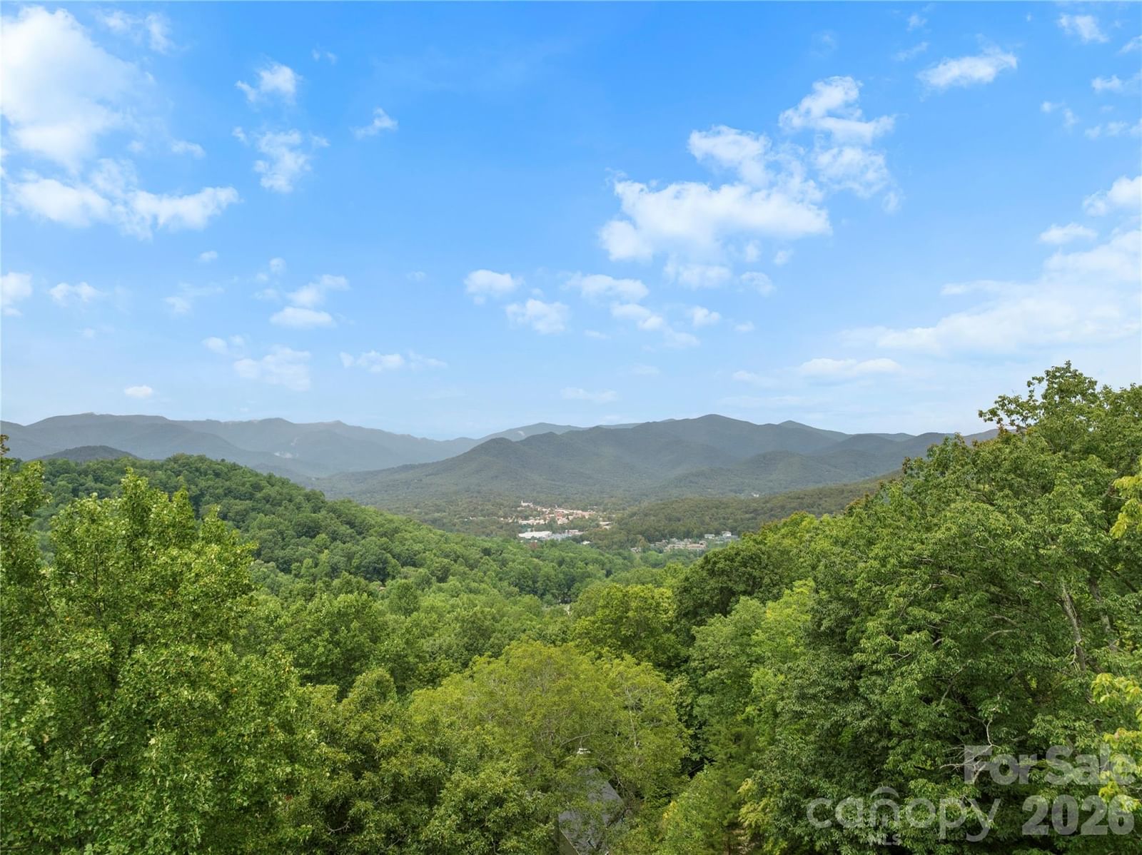 236 Holland Drive, Black Mountain, NC 28711 - Photo 2