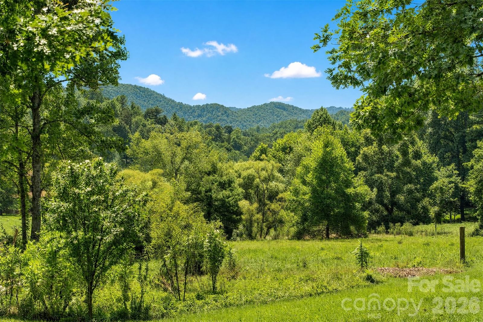 789 & 00000 Morrow Branch Road, Leicester, NC 28748 - Photo 4