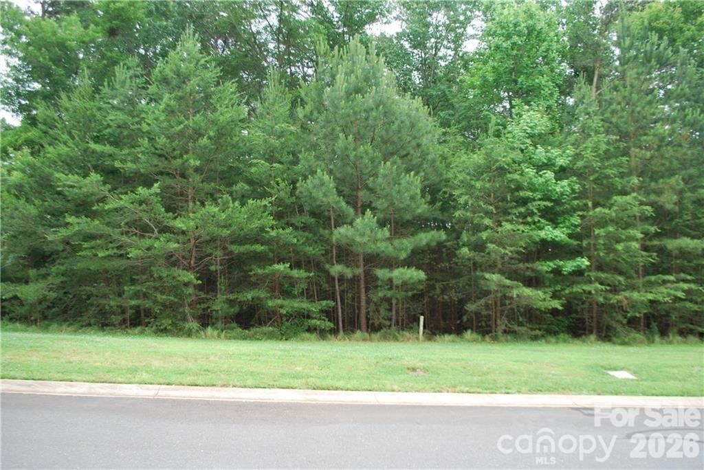 3225 Ashwood Park Drive #279, Belmont, NC 28012 - Photo 3