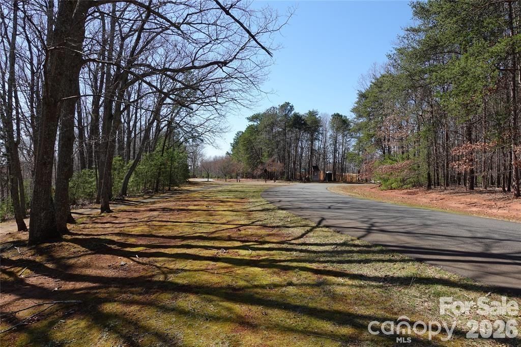 14427 Roe Buck Meadow Lane, Charlotte, NC 28278 - Photo 4