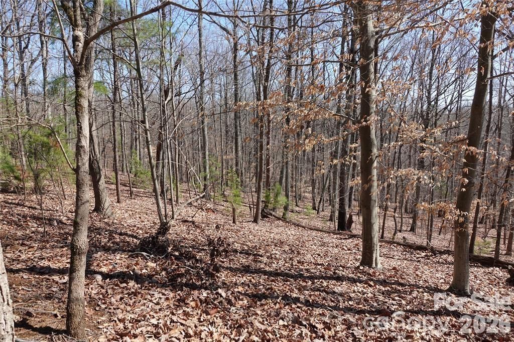 14427 Roe Buck Meadow Lane, Charlotte, NC 28278 - Photo 5