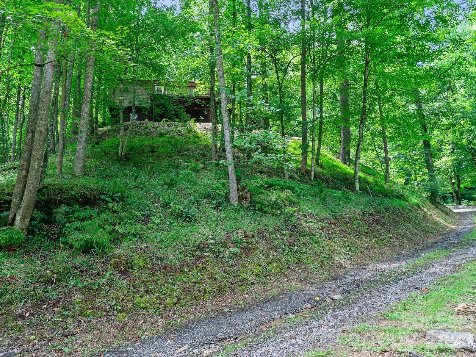 9851 Double Island Road, Green Mountain, NC 28740 - Photo 2