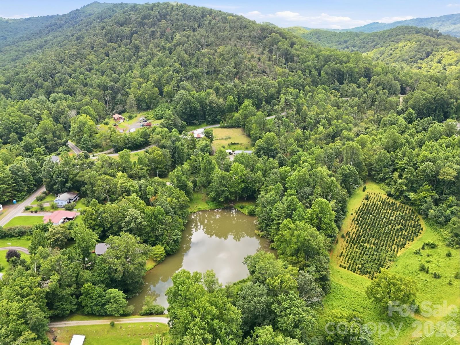 428 Hoot Owl Road, Spruce Pine, NC 28777 - Photo 2
