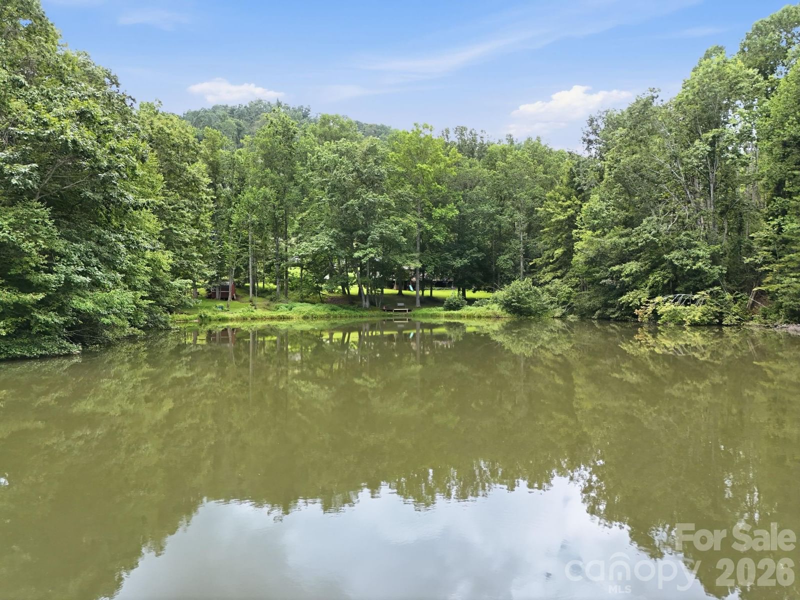 428 Hoot Owl Road, Spruce Pine, NC 28777 - Photo 4
