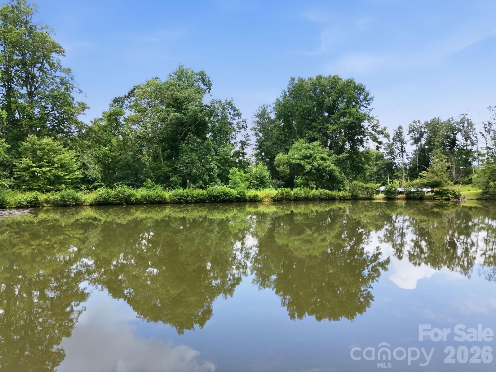 428 Hoot Owl Road, Spruce Pine, NC 28777 - Photo 5