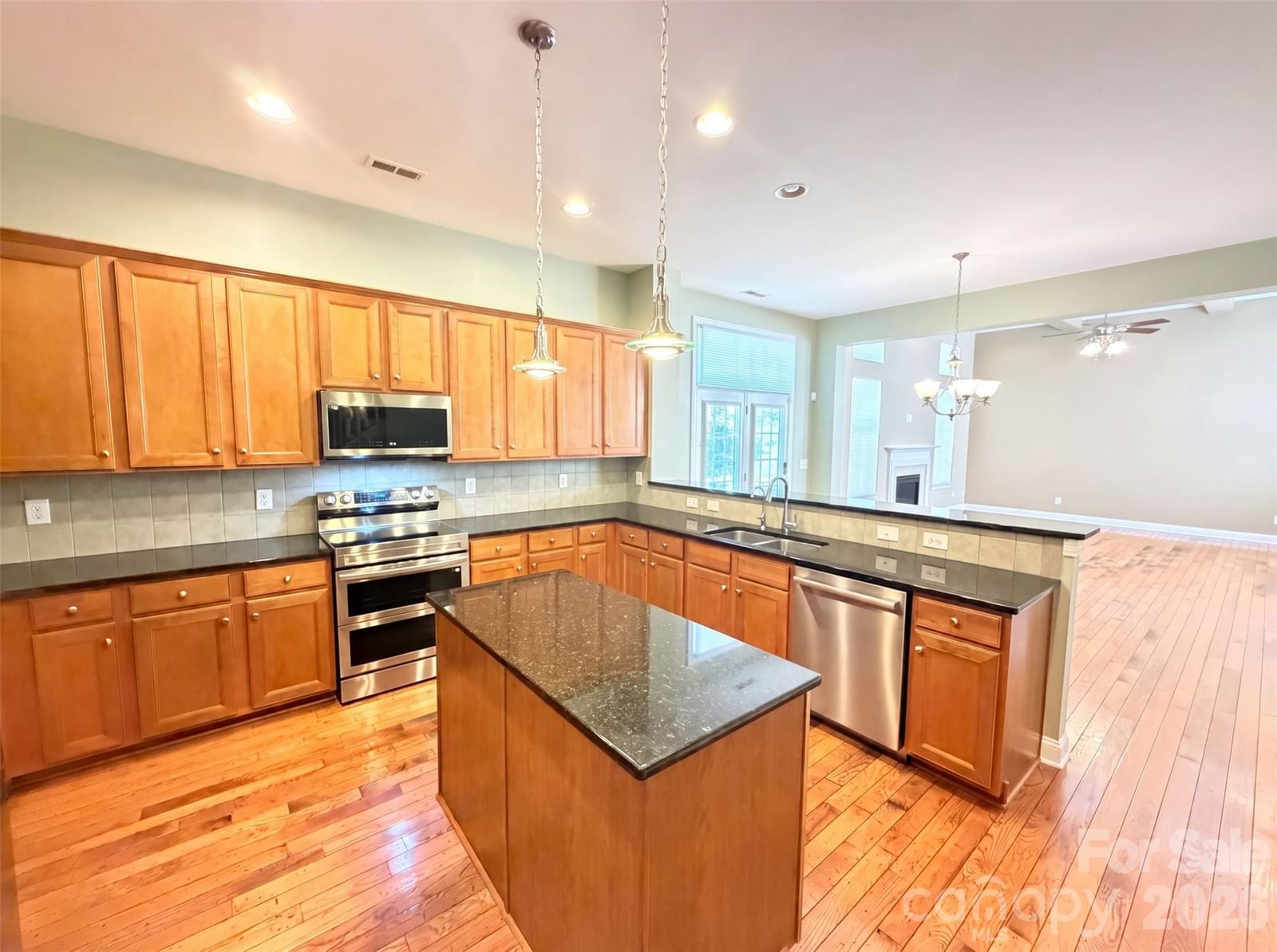 9928 Daufuskie Drive, Charlotte, NC 28278 - Photo 2