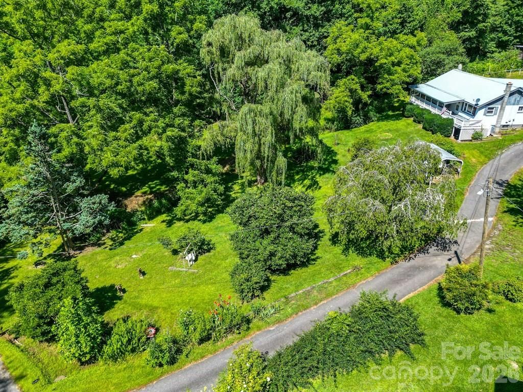 901 Rufus Robinson Road, Sylva, NC 28779 - Photo 5