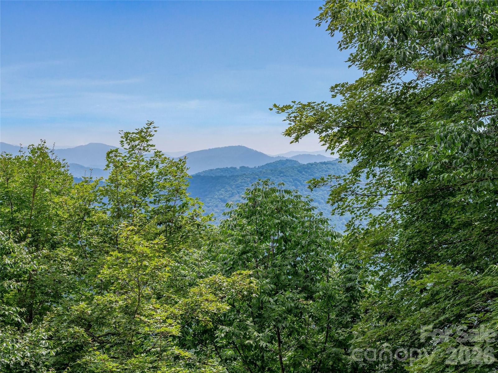 267 Trillium Lane, Burnsville, NC 28714 - Photo 3
