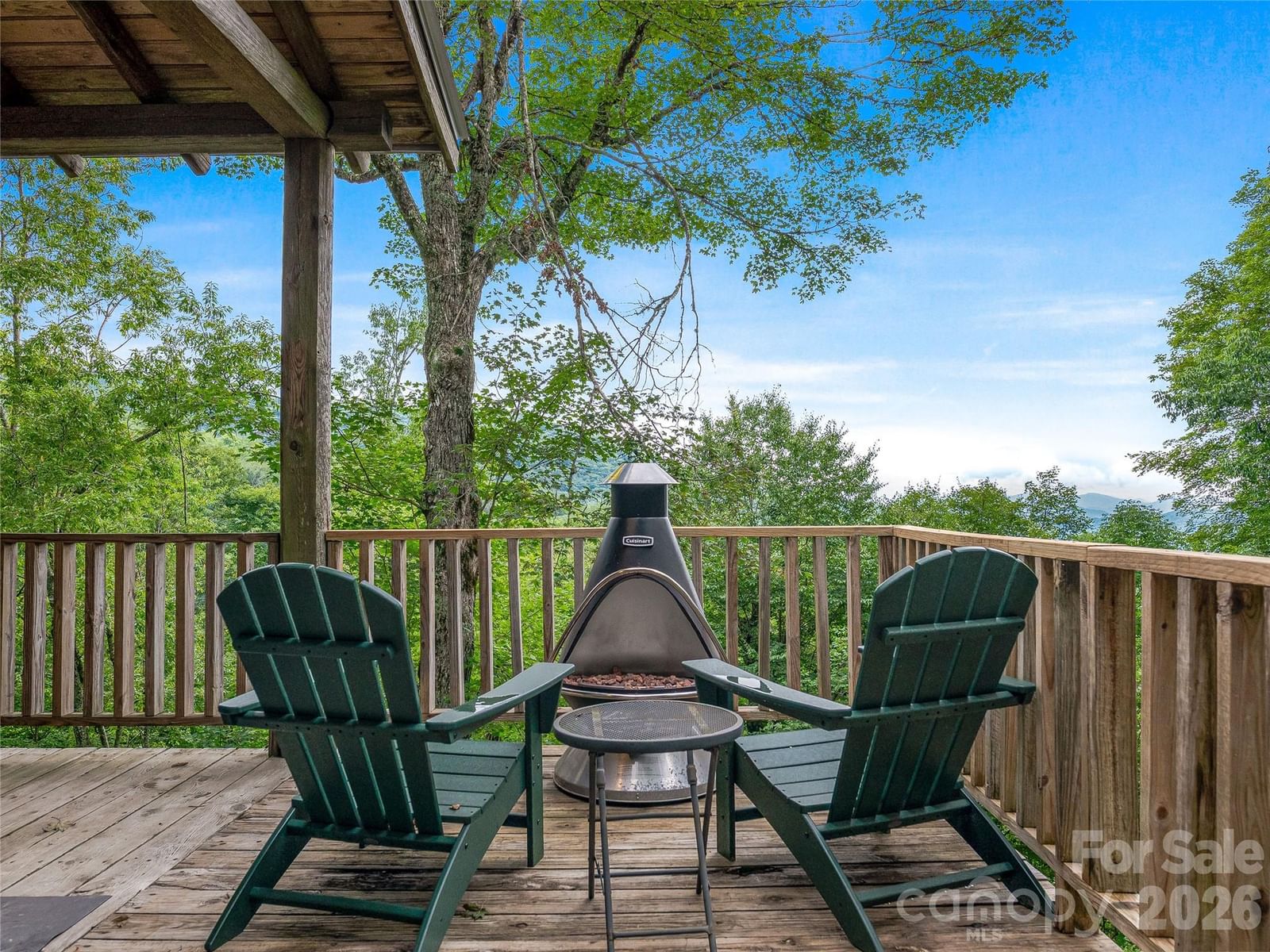 267 Trillium Lane, Burnsville, NC 28714 - Photo 4