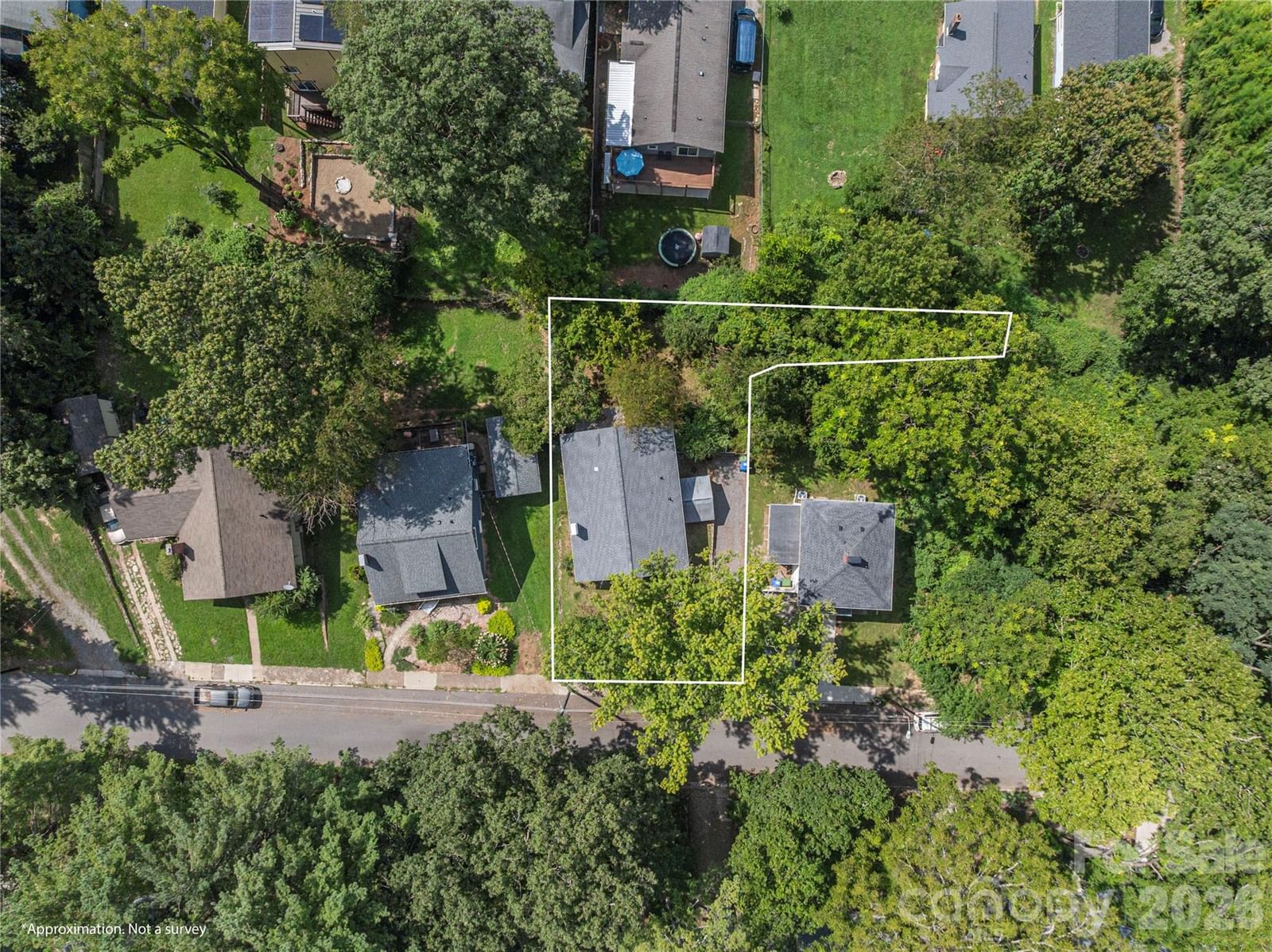 6 Birch Street, Asheville, NC 28801 - Photo 5