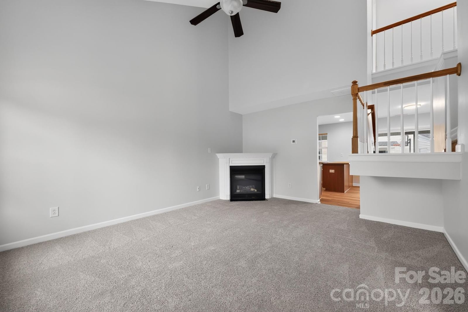 159 Limerick Road, Mooresville, NC 281115 - Photo 3