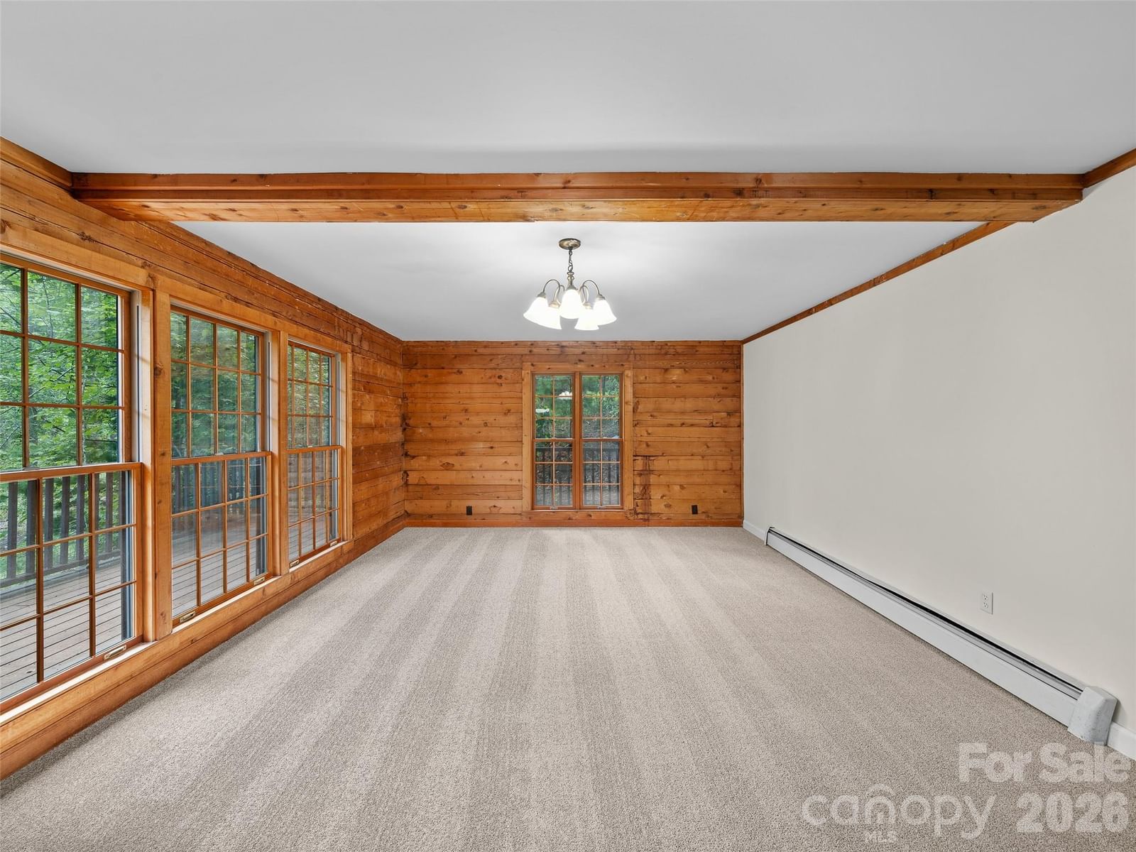 270 Dana Road, Green Mountain, NC 28740 - Photo 2
