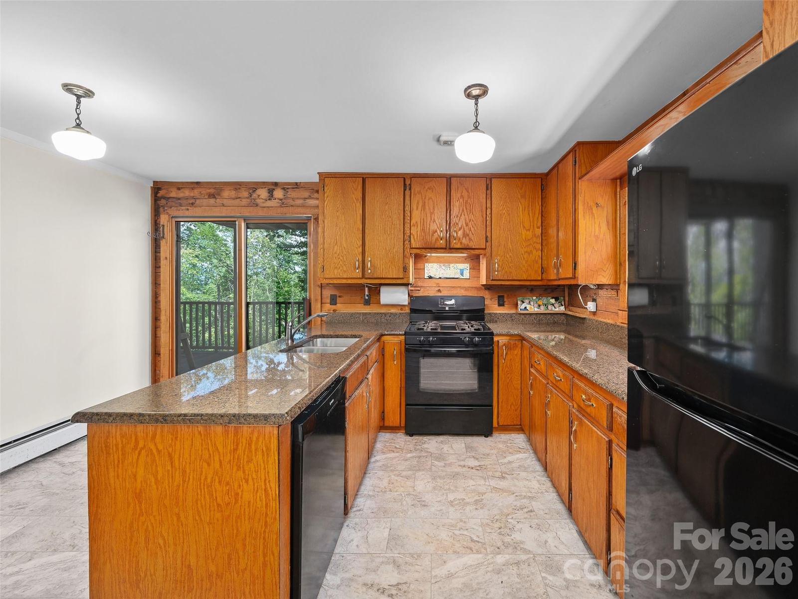 270 Dana Road, Green Mountain, NC 28740 - Photo 4