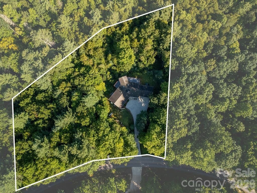 1228 Ugugu Drive, Brevard, NC 28712 - Photo 3